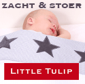 Little Tulip Little Tulip