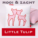 Little Tulip Little Tulip