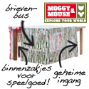 Moggy mouse