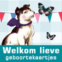 Welkom lieve Welkom lieve
