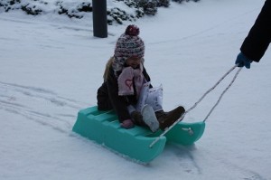 Sleetje rijden! IJslandseslee 300x199 Sleetje rijden!