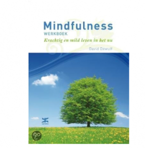 mindfullness werkboek