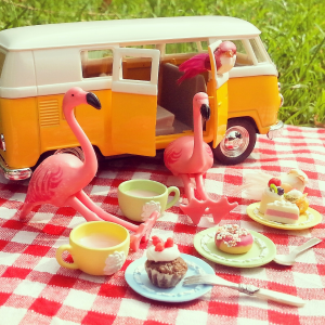 flamingoaday camping