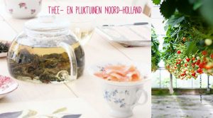 thee-en-pluktuinen-Noord-Holland