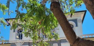 Tips voor Faro Faro tips