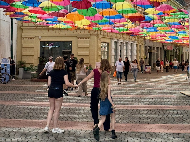 paraplus timisoara