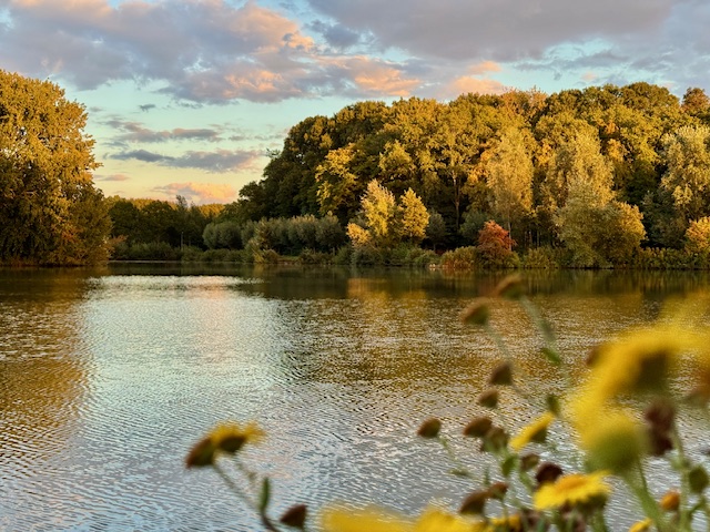 wilhelminapark mooi