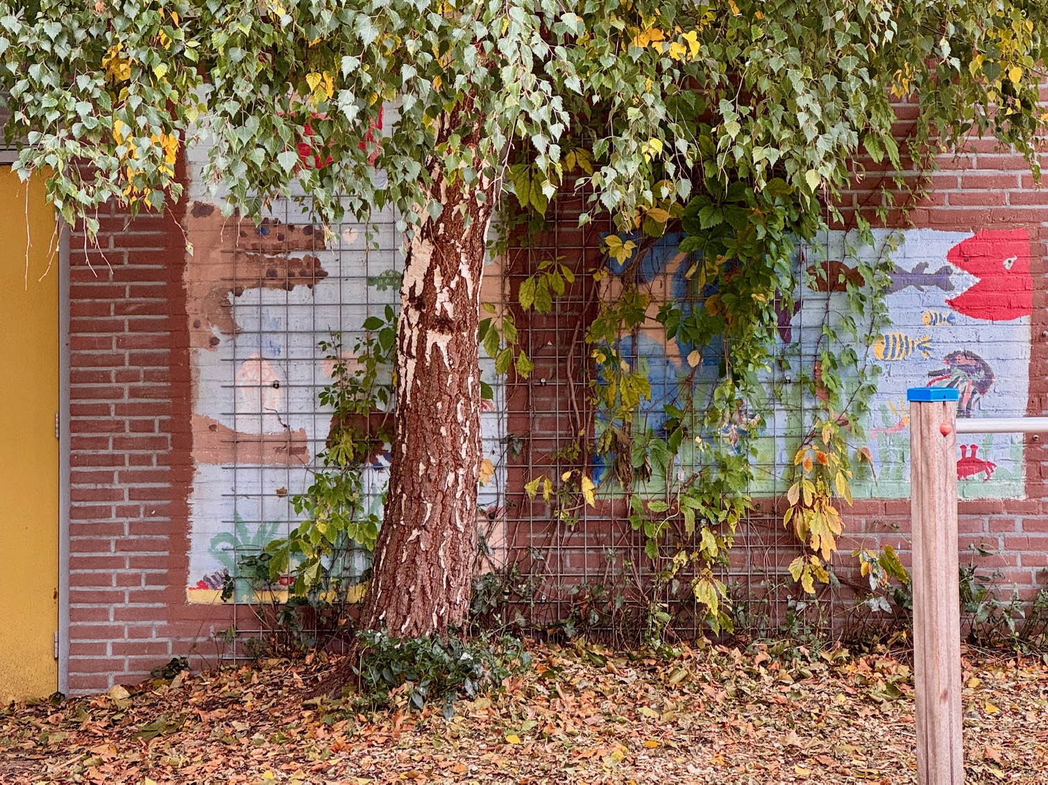 schoolplein