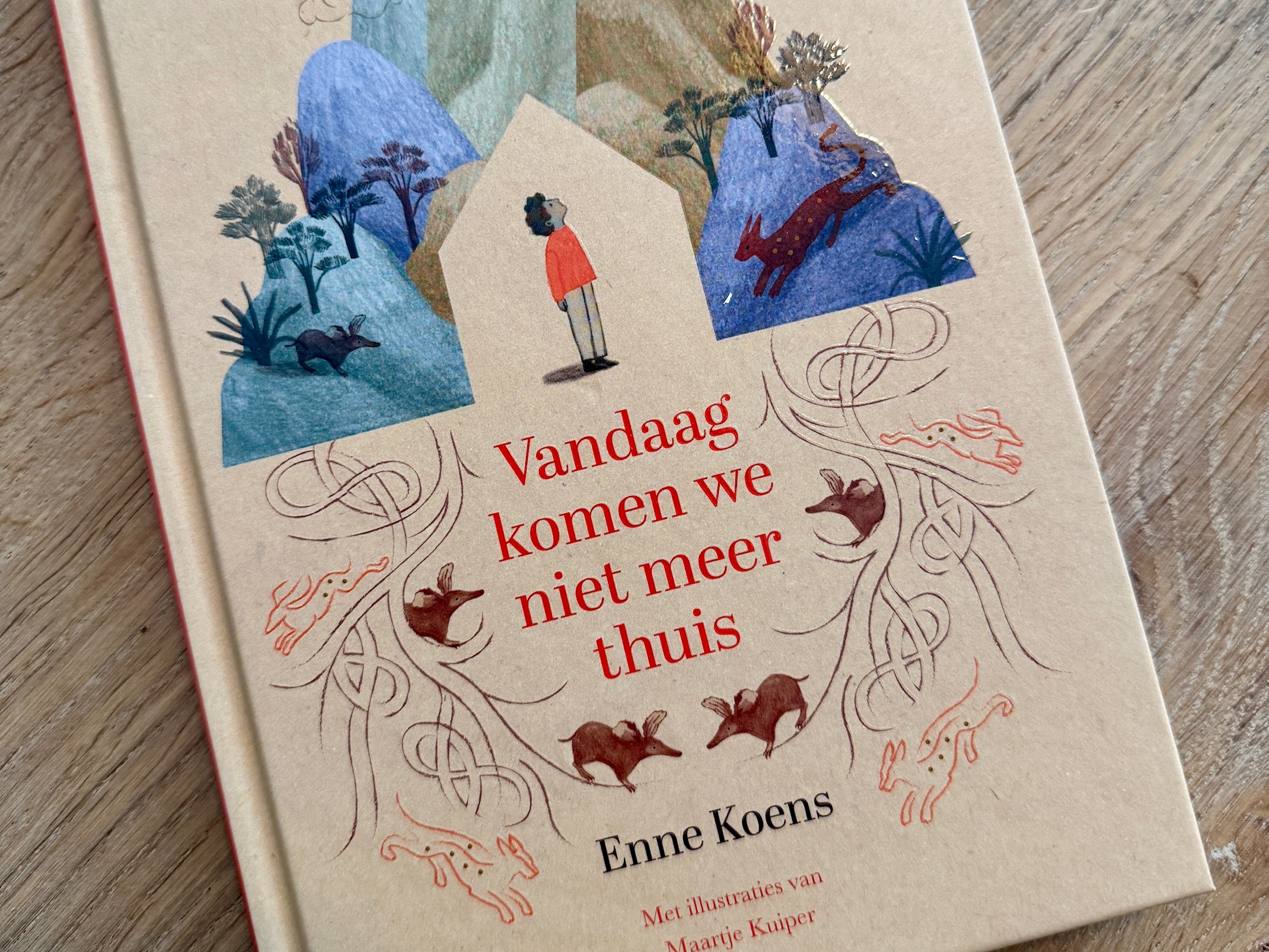 Vandaag komen we niet meer thuis boek