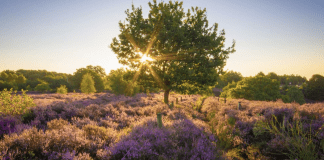 Lastminutes voor een weekje weg in de herfst Lastminutes voor een weekje weg in de herfst