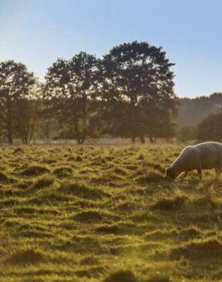 Lastminutes voor een weekje weg in de herfst landal