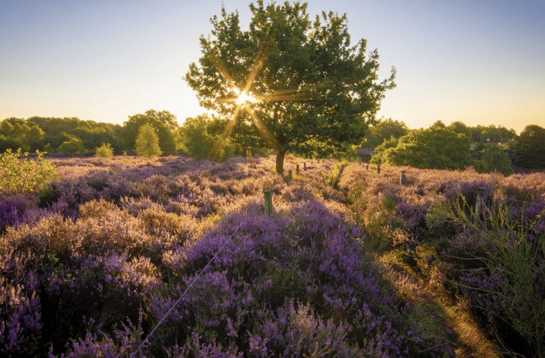 Lastminutes voor een weekje weg in de herfst