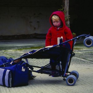 BuggyWeights2