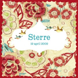 Sterre