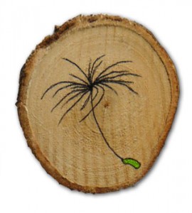 broche broche