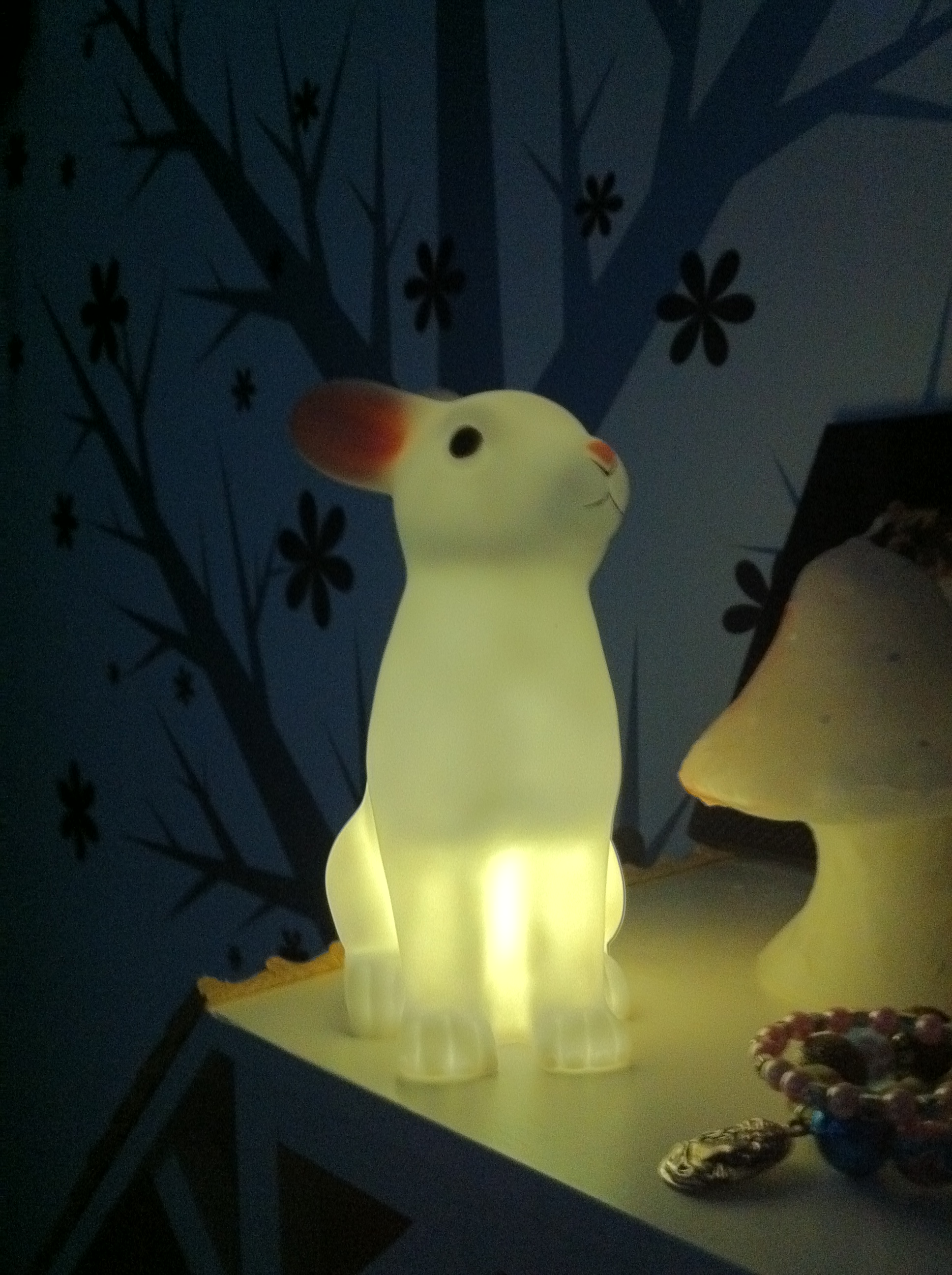 Nachtverlichting & hippe koeltasjes