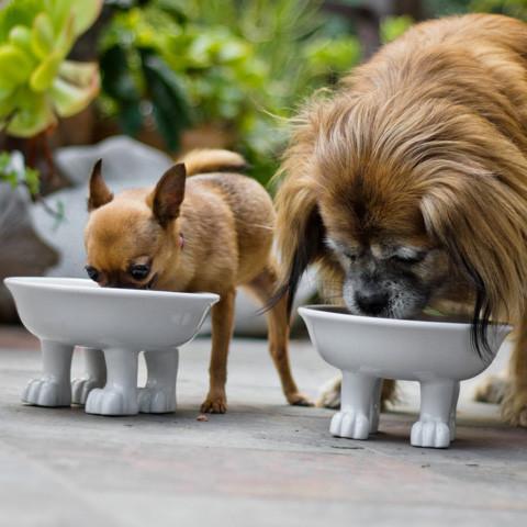 servies met pootjes voor huisdieren