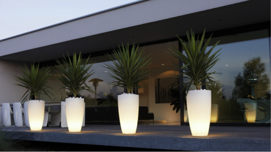 Zomerse tuinmusthaves