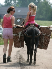 wandelen met een ezel