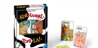 Beeldschermloze speltips voor op de camping