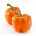 Capsicum Annuum