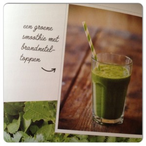 brandnetelsmoothie