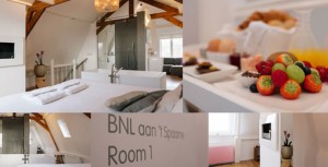 bnl-aan-t-spaarne-luxe-bed-&-breakfast