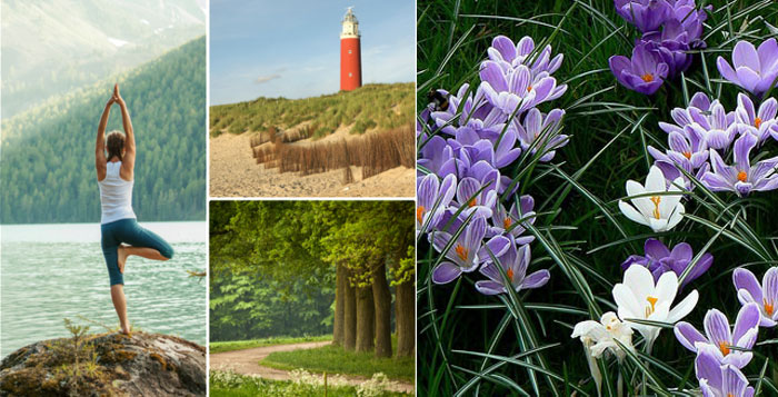 Spring Digital Detox