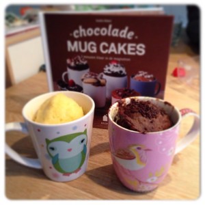 mugcakes