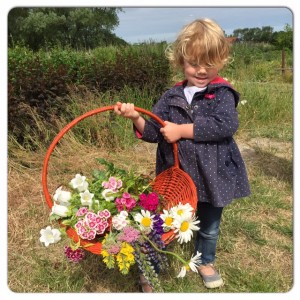 bloemen geplukt bloempluktuin