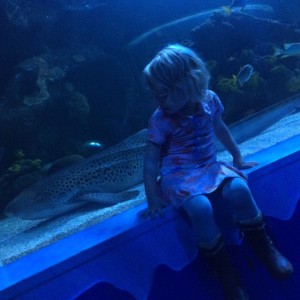 Lenthe sealife