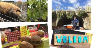 Waarom Leeuwarden heel leuk is, ook mét kids!