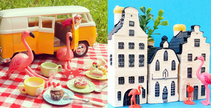 Wie, wat, waar op Instagram: @aflamingoaday