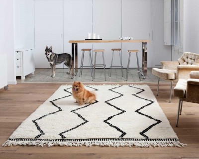 huisdieren-hond-Marokkaanse-berber-tapijt-Casablanca