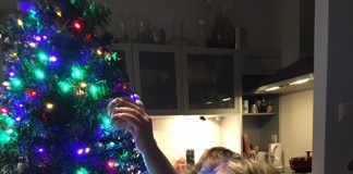 7 tips voor het optuigen van de kerstboom 7 tips voor het optuigen van de kerstboom