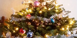 7 tips om je kerstboom langer goed te houden 7 tips om je kerstboom langer goed te houden