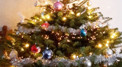 7 tips om je kerstboom langer goed te houden