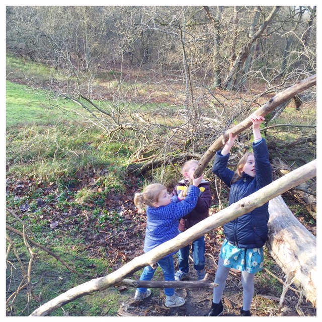 De leukste bossen van Nederland met kinderen outdoor avontuur met kinderen