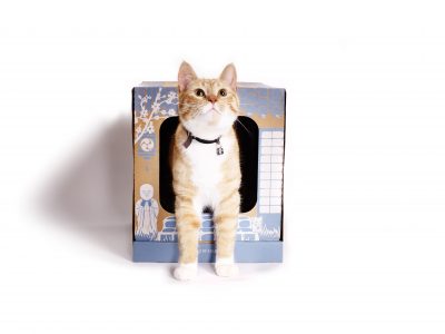 Poopy Cat Litter Box - cat3