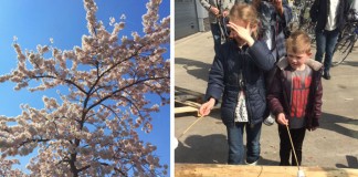 Foto weekoverzicht Judith #64