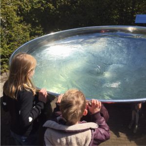 waterobject alnwick castle