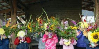 De leukste thee- en pluktuinen van Flevoland