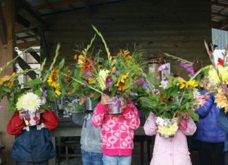 De allerleukste thee- en pluktuinen van Nederland