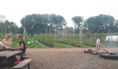 Fruittuin van West Amsterdam