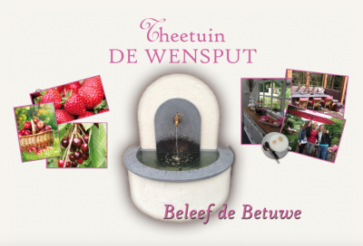 Theetuin de wensput