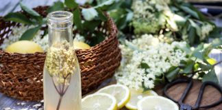 9 x wat je kunt doen met vlierbloesem