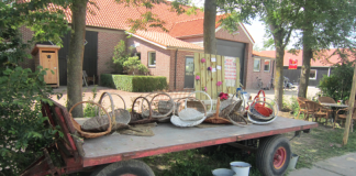 De leukste thee- en pluktuinen van Zeeland