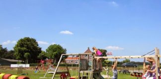 De leukste thee- en pluktuinen van Noord-Brabant