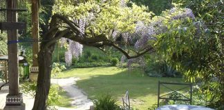 De leukste thee- en pluktuinen van Gelderland