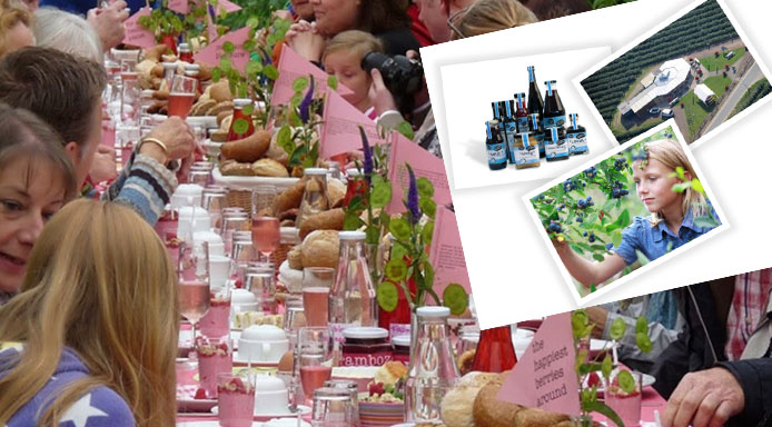 De leukste thee- en pluktuinen van Limburg